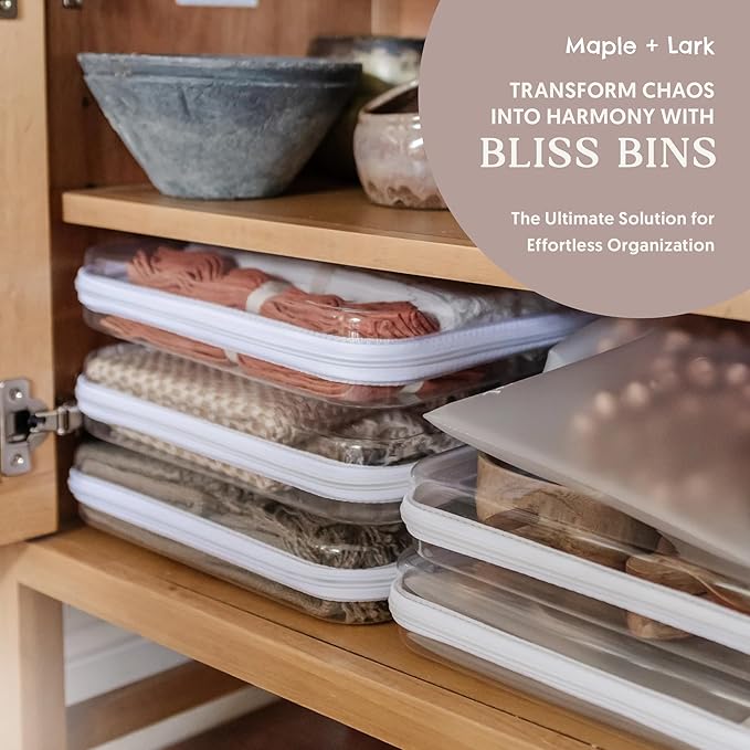 Maple & Lark Bliss Bins - Hard Sided Clear Zipper Case for Storage - Professional-Grade Plastic Clear Zipper Pencil Case, Toiletry Pouch, Travel Organizer, Cosmetic Bag, Toy Storage Bins (2 Pack, L)