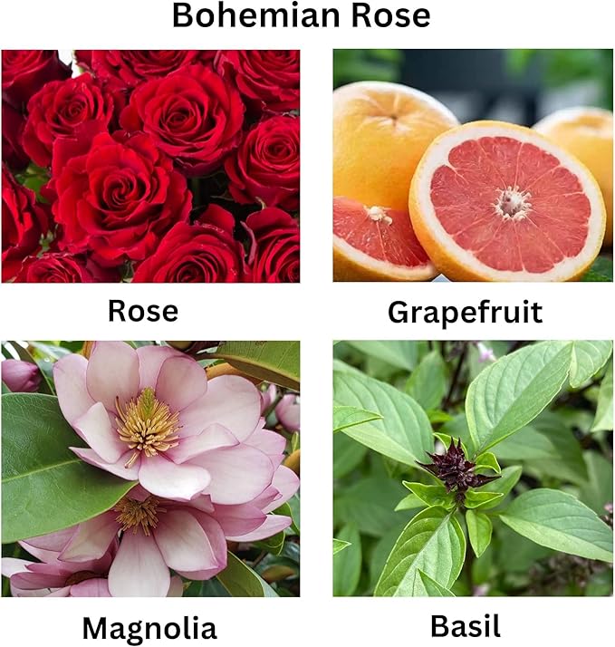 Bohemian Rose Scented Candles – Natural Coconut Wax, Long Burning & Non-Toxic Candle for Home & Office – Aromatic Magnolia & Patchouli – Eco-Friendly Scented Candles, Pack of 4 (2 oz. Each)