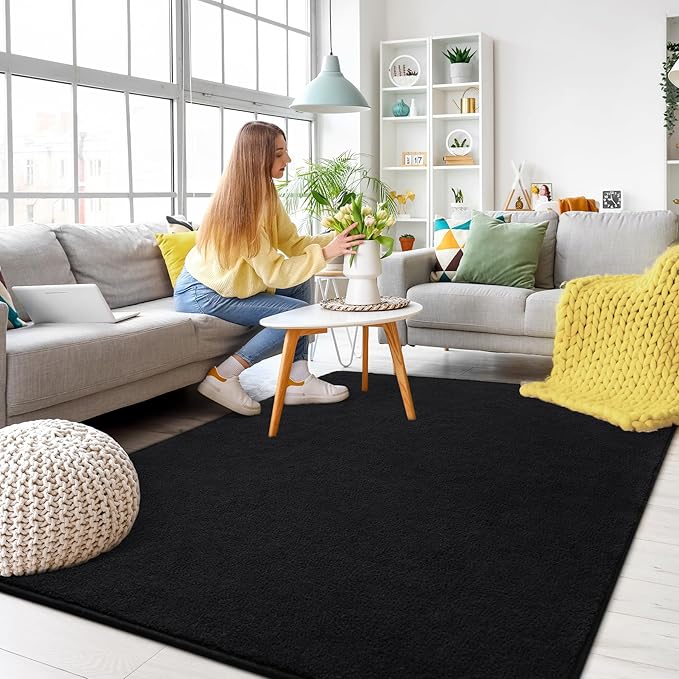 Soft Rugs for Living Room 4x6 Black, Minimalist Area Rug for Bedroom Nursery Dining Table Dorm, Throw Rugs for Men Boys Girls Kids Room Indoor Floor Carpets