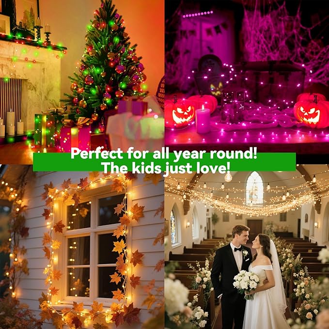 LitHome 300LED 99FT Led Fairy Lights Plug in, Color Changing Fairy Lights with Remote, 9 Modes Led String Lights Indoor Dimmable, Fairy String Lights for Girls Bedroom Dorm Classroom Christmas Decor