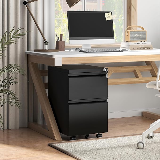 AQY 2 Drawer Mobile File Cabinet with Lock, Rolling Metal Filing Cabinet for Home Office, Vertical File Cabinet on Wheels, Small Mobile File Storage Cabinets for Legal/Letter/A4 Files(Black)