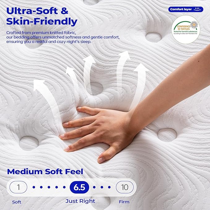 Queen Mattress 10 Inch,Hybrid Queen Mattresses in a Box, Medium Firm Memory Foam&Individual Pocket Springs,Upgrade Zoned Support,Motion Isolation&Pressure Relief,Fiberglass Free