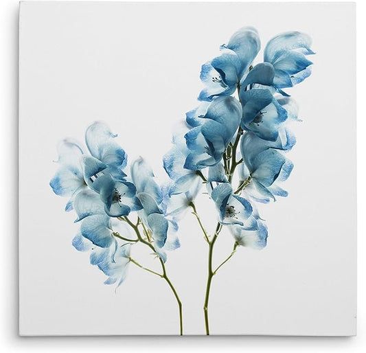 Wexford Home Gorgeous Blue II Art Print, Multicolor