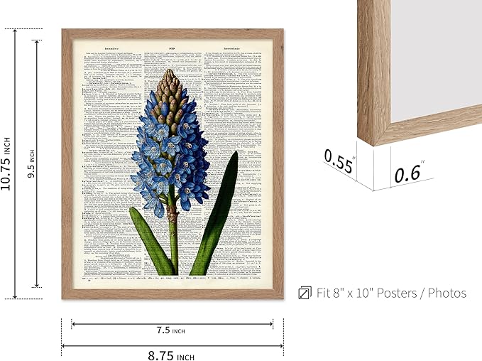 Poster Master Dictionary Art Poster - Blue Hyacinth Print - Flower Art - Floral Art - Gift for Men, Women & Florist - Minimal Decor for Bedroom, Office, Dorm or Flower Shop, 8x10 Beige Framed