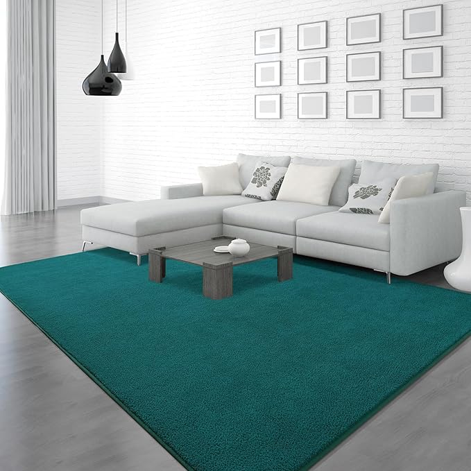 Soft Rugs for Living Room 4x6 Teal Green, Minimalist Area Rug for Bedroom Nursery Dining Table Dorm, Throw Rugs for Men Boys Girls Kids Room Indoor Floor Carpets