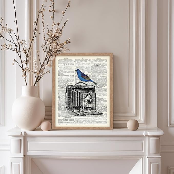 Poster Master Dictionary Art Poster - Antique Camera Print - Bird Art - Photography Art - Gift for Men, Women & Photographer - Chic Decor for Living Room, Bedroom or Office, 11x14 Beige Framed