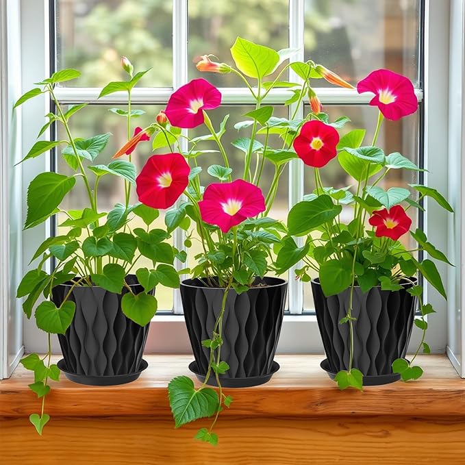 7 Inch Plant Pots Set of 5, Plastic Flower Pots with Drainage Holes and Trays, Planter Pot for Indoor Plants, Decorative Pots for Plants Indoor/Outdoor （Multicolor）