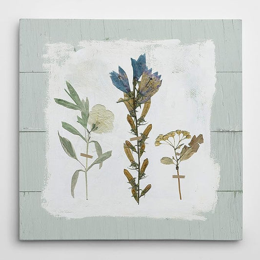 Wexford Home Pressed Flowers on Shiplap Gallery Wrapped Canvas Wall Art, 24x24 (18762-24x24)