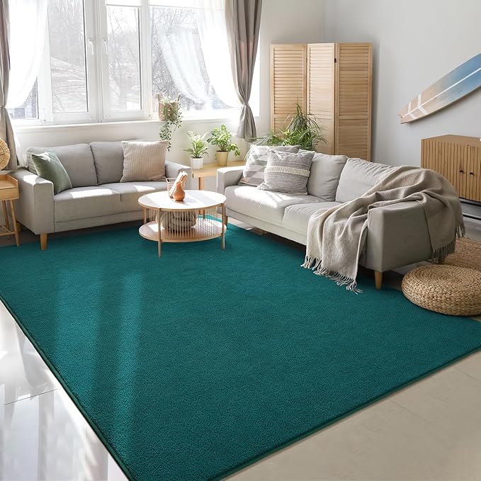 Soft Rugs for Living Room 4x6 Teal Green, Minimalist Area Rug for Bedroom Nursery Dining Table Dorm, Throw Rugs for Men Boys Girls Kids Room Indoor Floor Carpets