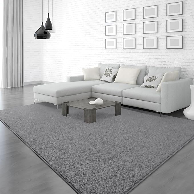 Soft Rugs for Living Room 5x7 Grey, Minimalist Area Rug for Bedroom Nursery Dining Table Dorm, Throw Rugs for Men Boys Girls Kids Room Indoor Floor Carpets