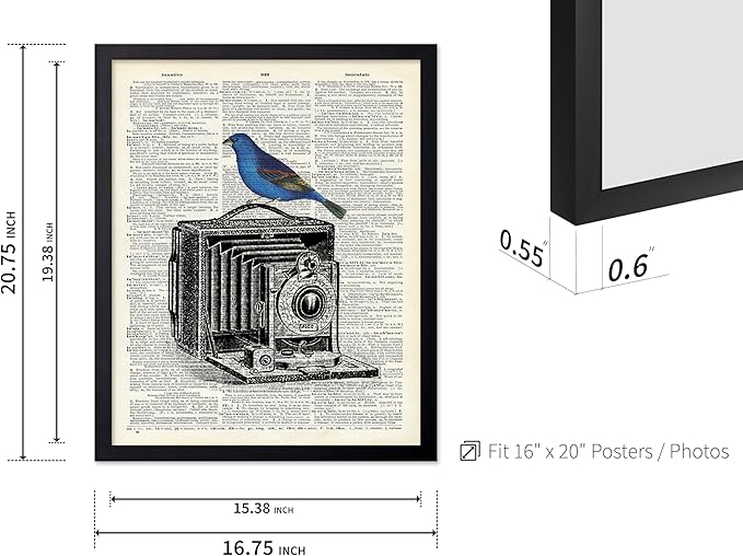 Poster Master Dictionary Art Poster - Antique Camera Print - Bird Art - Photography Art - Gift for Men, Women & Photographer - Chic Decor for Living Room, Bedroom or Office, 16x20 Black Framed