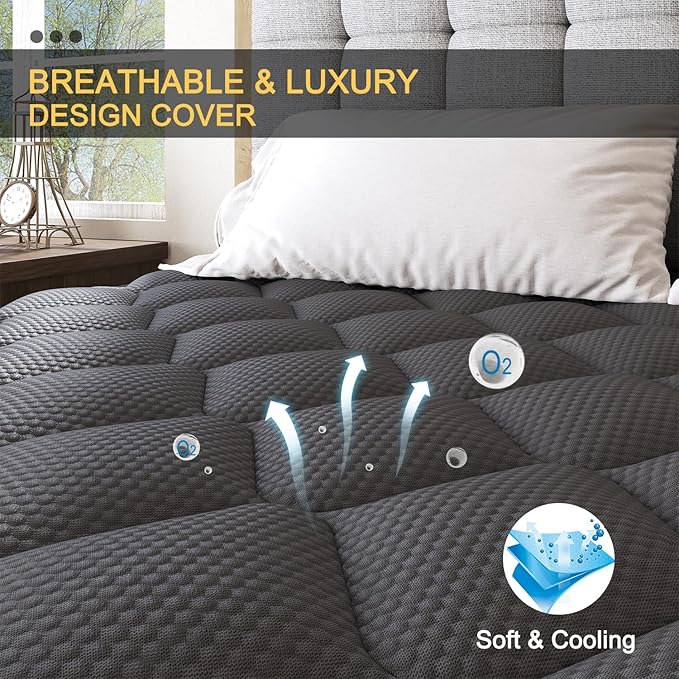 Queen Mattress, 12 Inch Hybrid Mattresses Black, Euro Top Medium Firm for Back & Lumbar Support, 100 Night Trial, Individual Pocket Spring for Motion Isolation & Pressure Relief