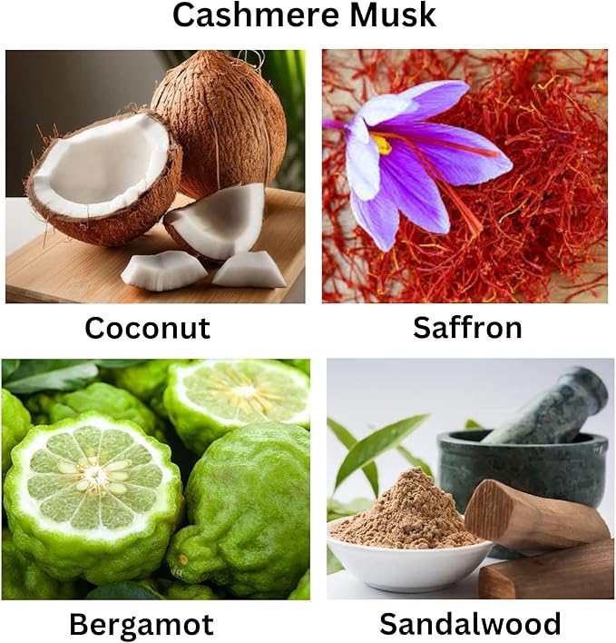 Cashmere Musk Luxury Candle – Cozy & Elegant Scent with Amber, Vetiver & Florals – Phthalate-Free, Vegan, Handcrafted, Cruelty-Free Candle for Home, Office & Gifting (5 oz.)