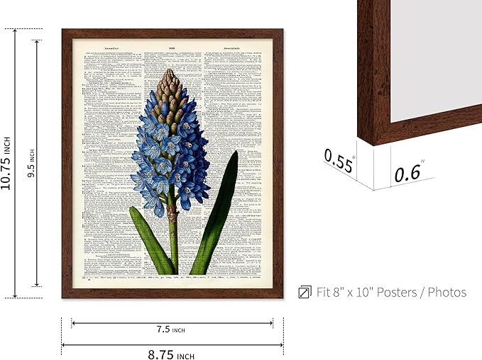 Poster Master Dictionary Art Poster - Blue Hyacinth Print - Flower Art - Floral Art - Gift for Men, Women & Florist - Minimal Decor for Bedroom, Office, Dorm or Flower Shop, 8x10 Brown Framed