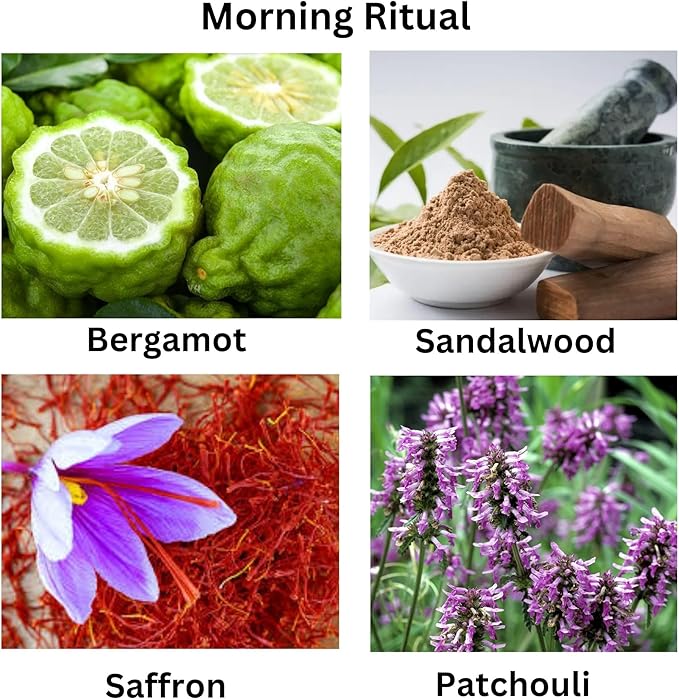 Morning Ritual Scented Candle – Earthy Moss, Palo Santo & Sandalwood – Perfect for Slow Mornings, Meditation, Yoga & Relaxation – Vegan, Phthalate-Free, Handcrafted in The USA (5 oz.)