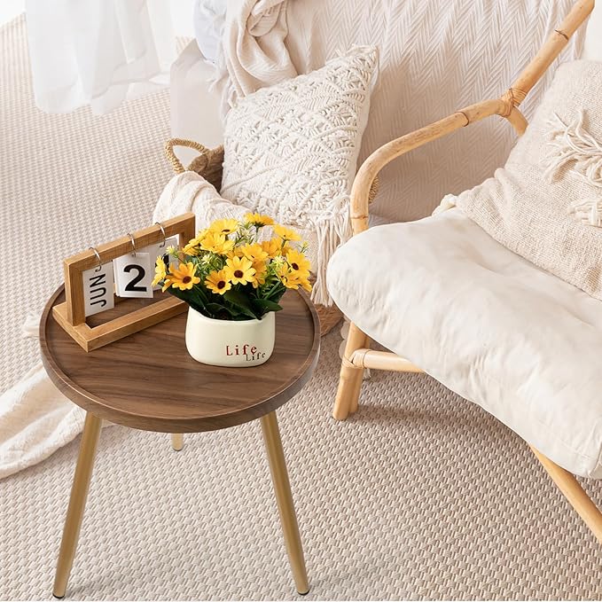 danpinera Round Side Table, Metal Legged Accent Table with Wooden Tray, Small Round End Table for Living Room, Bedroom, Nursery, Brown & Gold