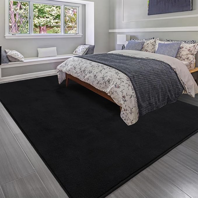 Soft Rugs for Living Room 4x6 Black, Minimalist Area Rug for Bedroom Nursery Dining Table Dorm, Throw Rugs for Men Boys Girls Kids Room Indoor Floor Carpets