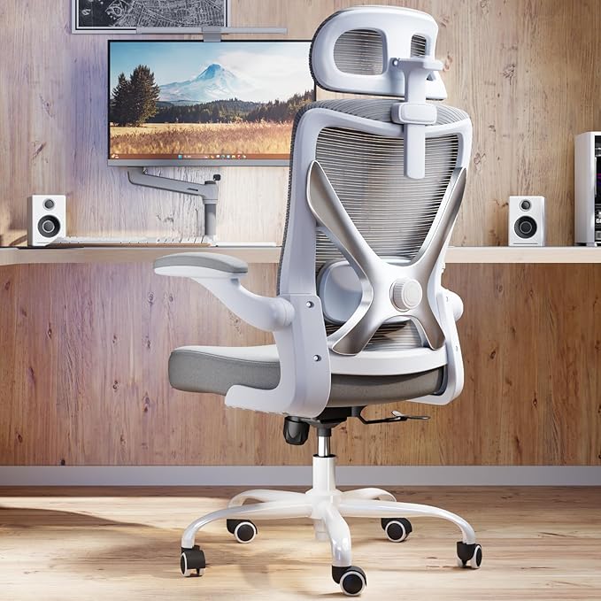 Ergonomic Office Chair - Computer Desk Chairs Comfy, Mesh High-Back Gaming Chair with Adjustable Lumbar Support, Executive Task Chair for Adults, Comfortable for Long Hours (Grey Silver)