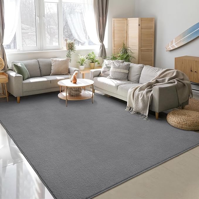 Soft Rugs for Living Room 4x6 Grey, Minimalist Area Rug for Bedroom Nursery Dining Table Dorm, Throw Rugs for Men Boys Girls Kids Room Indoor Floor Carpets
