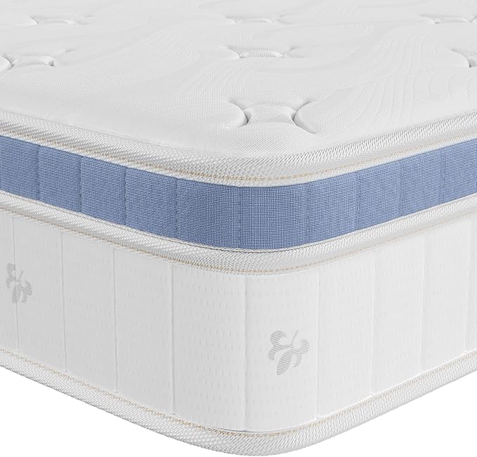 Queen Mattress 10 Inch, Hybrid Mattress Plush in a Box,Individual Pocket Spring Queen Size Bed with Breathable Memory Foam, Pressure Relief, Medium Firm Back Support for Adults