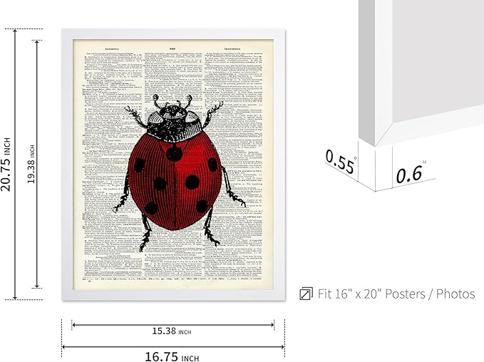 Poster Master Dictionary Art Poster - Retro Ladybug Print - Insect Art - Red Bug Art - Gift for Men, Women & Animal Lover - Minimal Decor for Living Room & Kid's Room, 16x20 White Framed