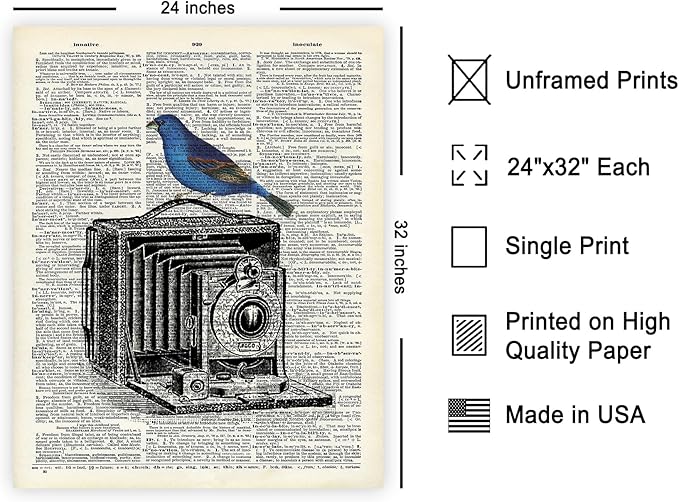 Poster Master Dictionary Art Poster - Antique Camera Print - Bird Art - Photography Art - Gift for Men, Women & Photographer - Chic Decor for Living Room, Bedroom or Office, 24x32 Unframed Wall Art