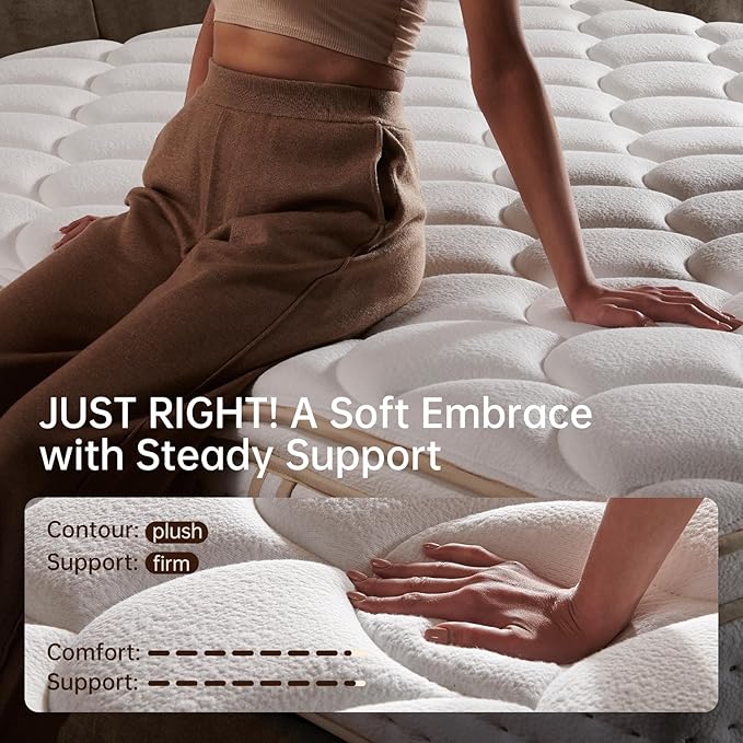 Queen Mattress 12 Inch Mattresses Queen Size in a Box,Superior Hybrid Mattress with Memory Foam for Extra Lumbar Support,100 Night Trial,Maximum Support,Zoned Spring, Medium Firm (12 Inch, Queen)