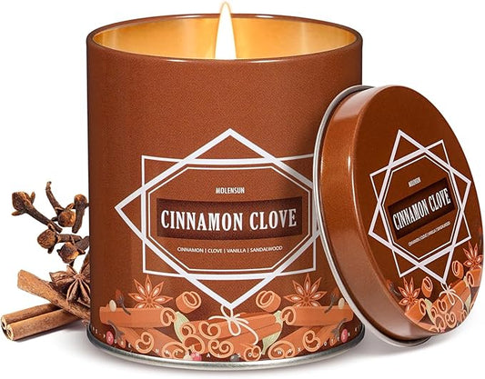 Fall Scented Candle – Cinnamon Clove Soy Candle 9oz, 50 Hour Burn, Non-Toxic Autumn Decor, Holiday Gift for Women & Men