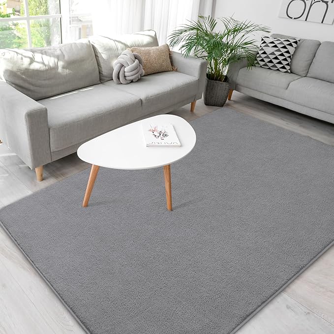 Soft Rugs for Living Room 5x7 Grey, Minimalist Area Rug for Bedroom Nursery Dining Table Dorm, Throw Rugs for Men Boys Girls Kids Room Indoor Floor Carpets