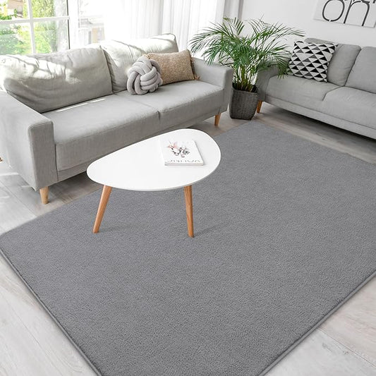Soft Rugs for Living Room 5x7 Grey, Minimalist Area Rug for Bedroom Nursery Dining Table Dorm, Throw Rugs for Men Boys Girls Kids Room Indoor Floor Carpets