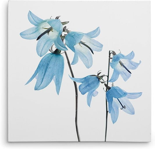 Wexford Home Gorgeous Blue IV Gallery Wrapped Canvas Wall Art, 10x10,