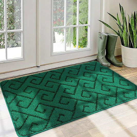 Walensee Indoor Doormat, Front Door Mat for Entrance (20"x32" Green) Machine Washable Entryway Rug, Non Slip Trapper Door Rugs Absorbent Dirt Low Profile Shoes Scraper Inside Floor Mats
