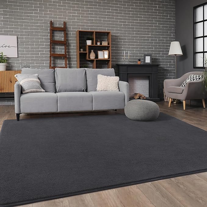 Soft Rugs for Living Room 5x7 Dark Grey, Minimalist Area Rug for Bedroom Nursery Dining Table Dorm, Throw Rugs for Men Boys Girls Kids Room Indoor Floor Carpets