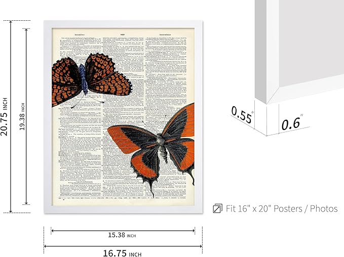 Poster Master Dictionary Art Poster - Butterflies Print - Moth Art - Butterfly Art - Insect Art - Gift for Men, Women & Animal Lover - Chic Decor for Living Room or Bedroom, 16x20 White Framed