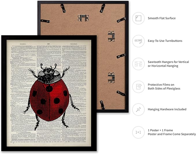 Poster Master Dictionary Art Poster - Retro Ladybug Print - Insect Art - Red Bug Art - Gift for Men, Women & Animal Lover - Minimal Decor for Living Room & Kid's Room, 8x10 Black Framed