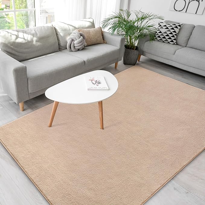 Soft Rugs for Living Room 5x7 Beige, Minimalist Area Rug for Bedroom Nursery Dining Table Dorm, Throw Rugs for Men Boys Girls Kids Room Indoor Floor Carpets