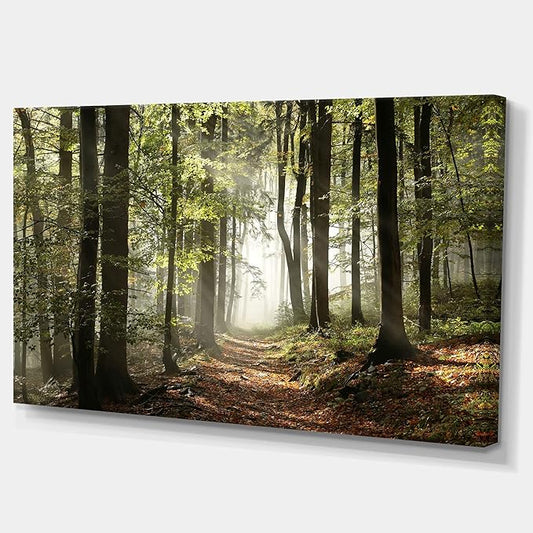 Green Fall Forest with Sun Rays – Oversized Canvas Wall Art – 40" x 20" Nature Landscape Print for Living Room, Bedroom, or Dining Room – Gallery Wrapped and Ready to Hang