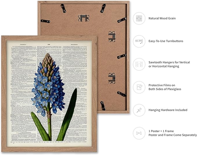Poster Master Dictionary Art Poster - Blue Hyacinth Print - Flower Art - Floral Art - Gift for Men, Women & Florist - Minimal Decor for Bedroom, Office, Dorm or Flower Shop, 8x10 Beige Framed