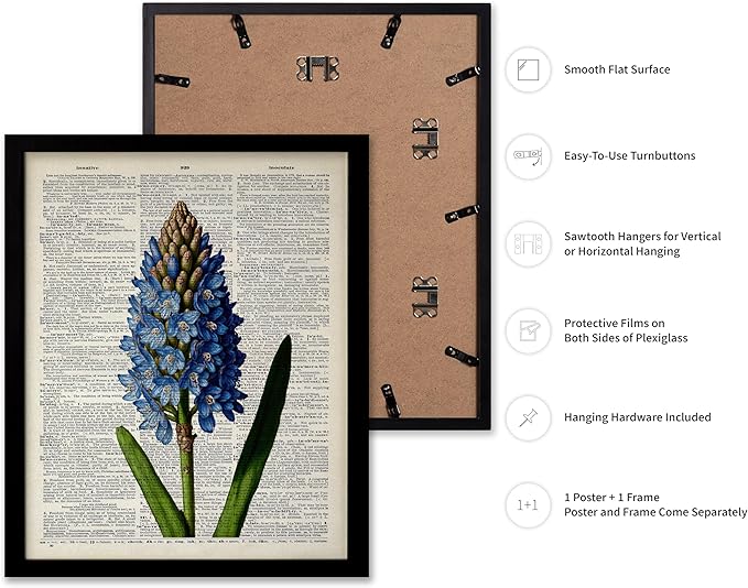 Poster Master Dictionary Art Poster - Blue Hyacinth Print - Flower Art - Floral Art - Gift for Men, Women & Florist - Minimal Decor for Bedroom, Office, Dorm or Flower Shop, 8x10 Black Framed