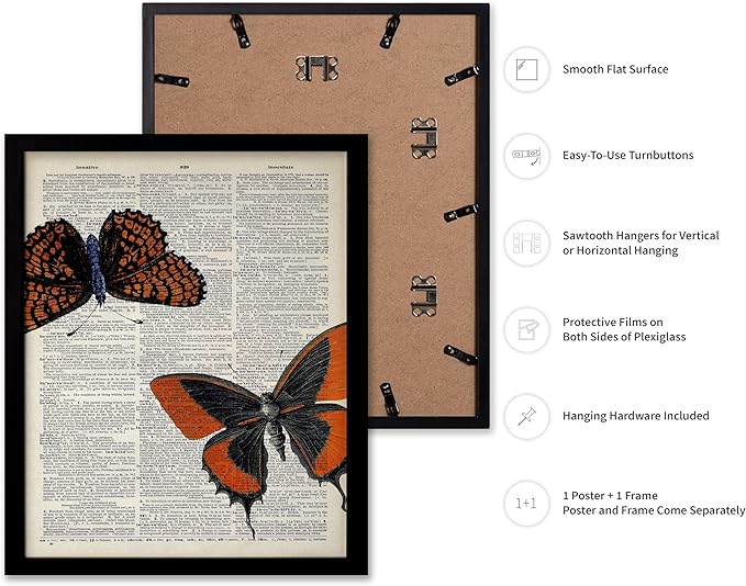Poster Master Dictionary Art Poster - Butterflies Print - Moth Art - Butterfly Art - Insect Art - Gift for Men, Women & Animal Lover - Chic Decor for Living Room or Bedroom, 16x20 Black Framed