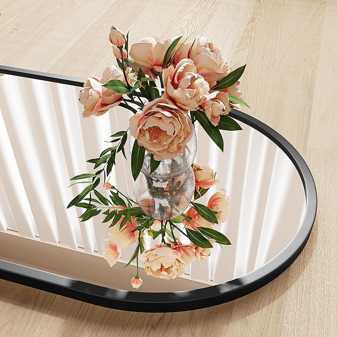 Full Body Mirror,65"x24" Standing Mirror,Nanometre Arched Full Length Mirrors,espejos para dormitorio,Full Size Mirrors (Black)