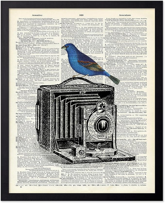 Poster Master Dictionary Art Poster - Antique Camera Print - Bird Art - Photography Art - Gift for Men, Women & Photographer - Chic Decor for Living Room, Bedroom or Office, 11x14 Black Framed