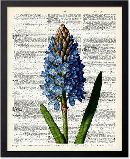 Poster Master Dictionary Art Poster - Blue Hyacinth Print - Flower Art - Floral Art - Gift for Men, Women & Florist - Minimal Decor for Bedroom, Office, Dorm or Flower Shop, 16x20 Black Framed