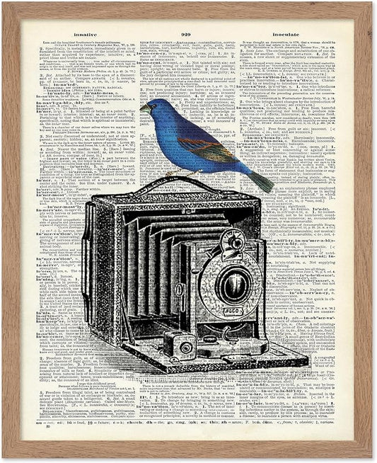 Poster Master Dictionary Art Poster - Antique Camera Print - Bird Art - Photography Art - Gift for Men, Women & Photographer - Chic Decor for Living Room, Bedroom or Office, 11x14 Beige Framed