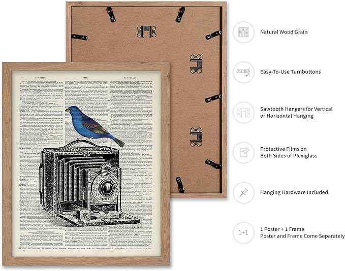 Poster Master Dictionary Art Poster - Antique Camera Print - Bird Art - Photography Art - Gift for Men, Women & Photographer - Chic Decor for Living Room, Bedroom or Office, 16x20 Beige Framed