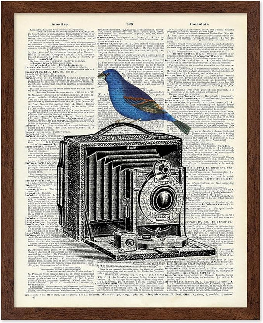 Poster Master Dictionary Art Poster - Antique Camera Print - Bird Art - Photography Art - Gift for Men, Women & Photographer - Chic Decor for Living Room, Bedroom or Office, 8x10 Brown Framed