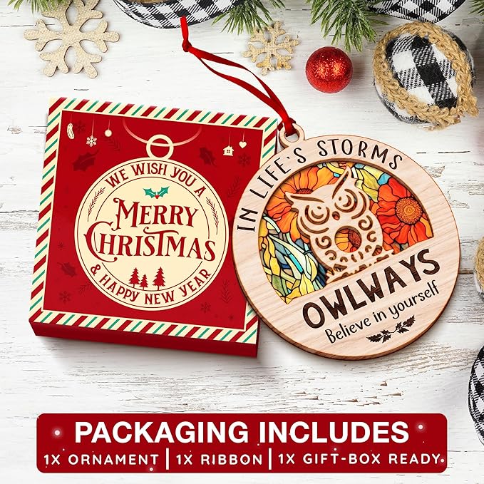 Owl Ornaments for Christmas Trees - Charming Owl Gifts for Women and Men - Perfect Ornament for Christmas Decoration, Unique Ornaments for Men - Ideal Gifts for owl Lovers