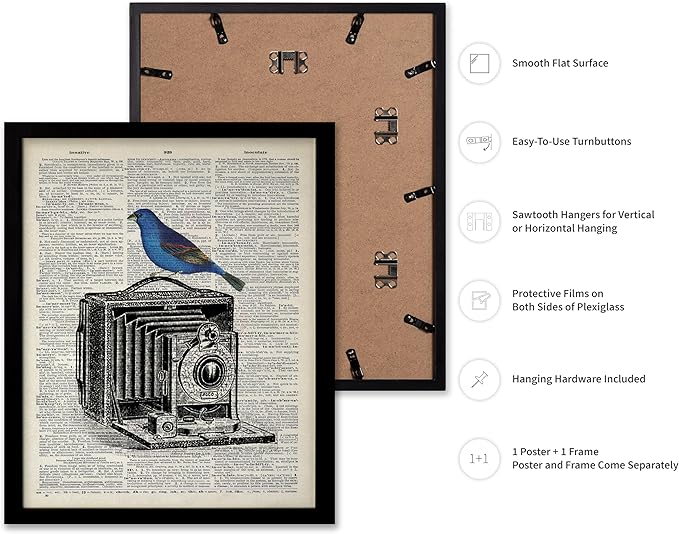 Poster Master Dictionary Art Poster - Antique Camera Print - Bird Art - Photography Art - Gift for Men, Women & Photographer - Chic Decor for Living Room, Bedroom or Office, 8x10 Black Framed