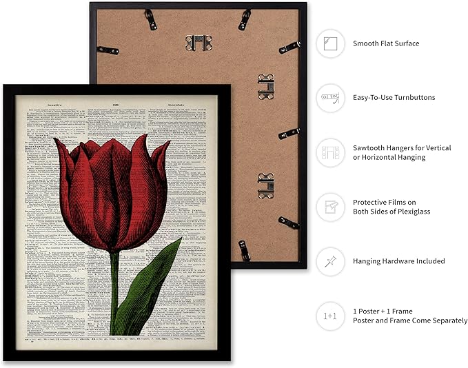 Poster Master Dictionary Art Poster - Tulip Print - Red Flower Art - Floral Art - Gift for Men, Women & Florist - Minimal Decor for Living Room, Bedroom, Dorm or Flower Shop, 11x14 Black Framed