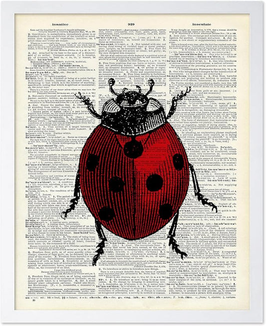 Poster Master Dictionary Art Poster - Retro Ladybug Print - Insect Art - Red Bug Art - Gift for Men, Women & Animal Lover - Minimal Decor for Living Room & Kid's Room, 16x20 White Framed